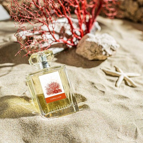 台湾 【在庫限り】イタリア カルトゥージア｜レッドコーラル