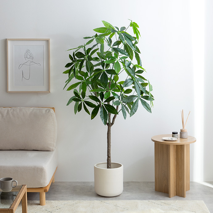 g162013]【高さ150cm】Nature 光触媒人工観葉植物 パキラ 観葉植物