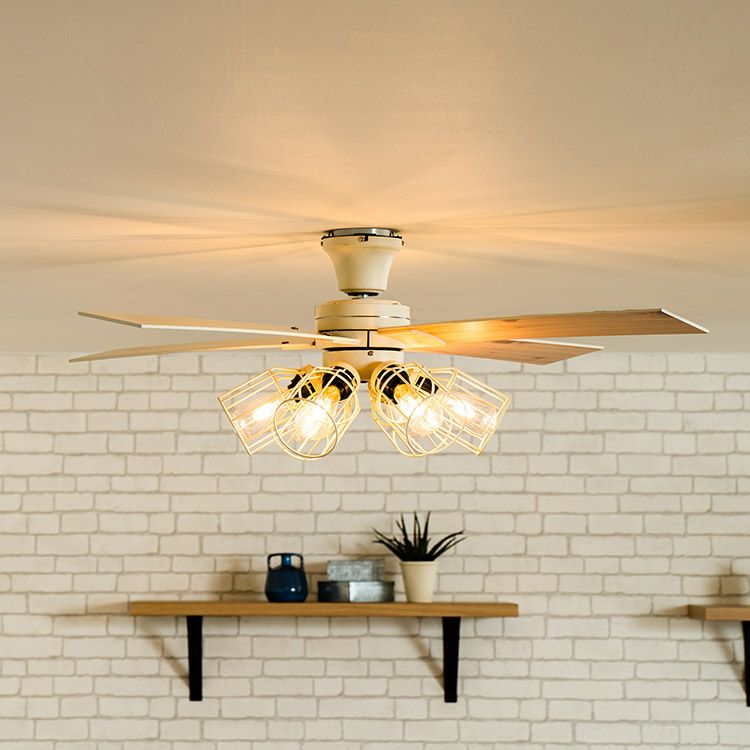 保証5年】JE-CF048 JAVALO ELF(ジャバロエルフ) Modern Collection