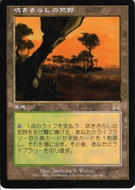 吹きさらしの荒野/WINDSWEPT HEATH 商品検索 | ドラゴンスター