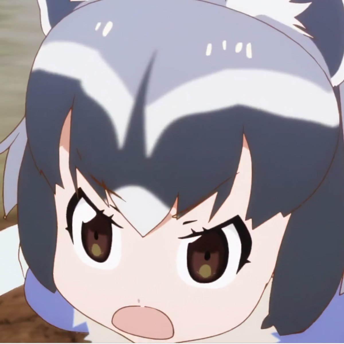 アライさん | NiV SKNCR