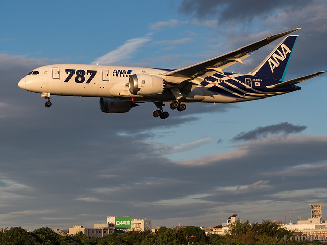 さようなら鯖次郎&鯖塗装 ～ANA B787 ローンチ記念塗装ラストフライト