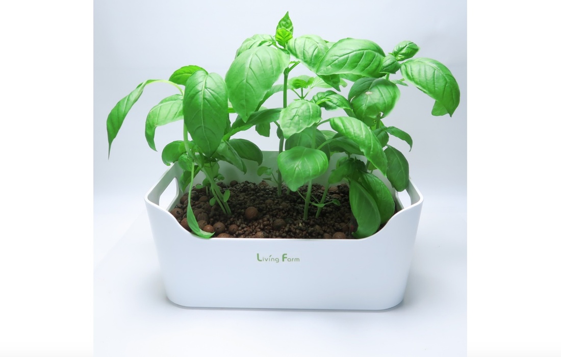 無農薬野菜の水耕栽培キット」をギフトとして贈れます。 - Relax Gift