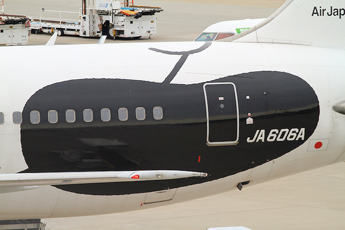 FRY! パンダ ANA（全日空） B767-300ER JA606A