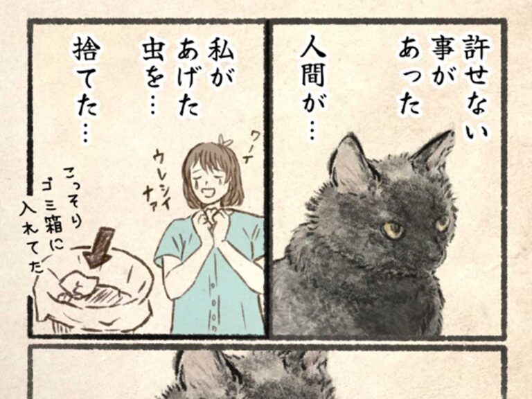 黒猫の『許せないこと』に14万いいね 「笑った」「ごめん、でも勘弁