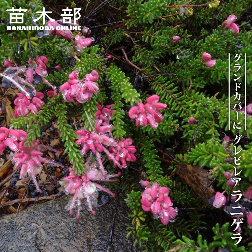 000000095641-01.jpg?size=l&w=