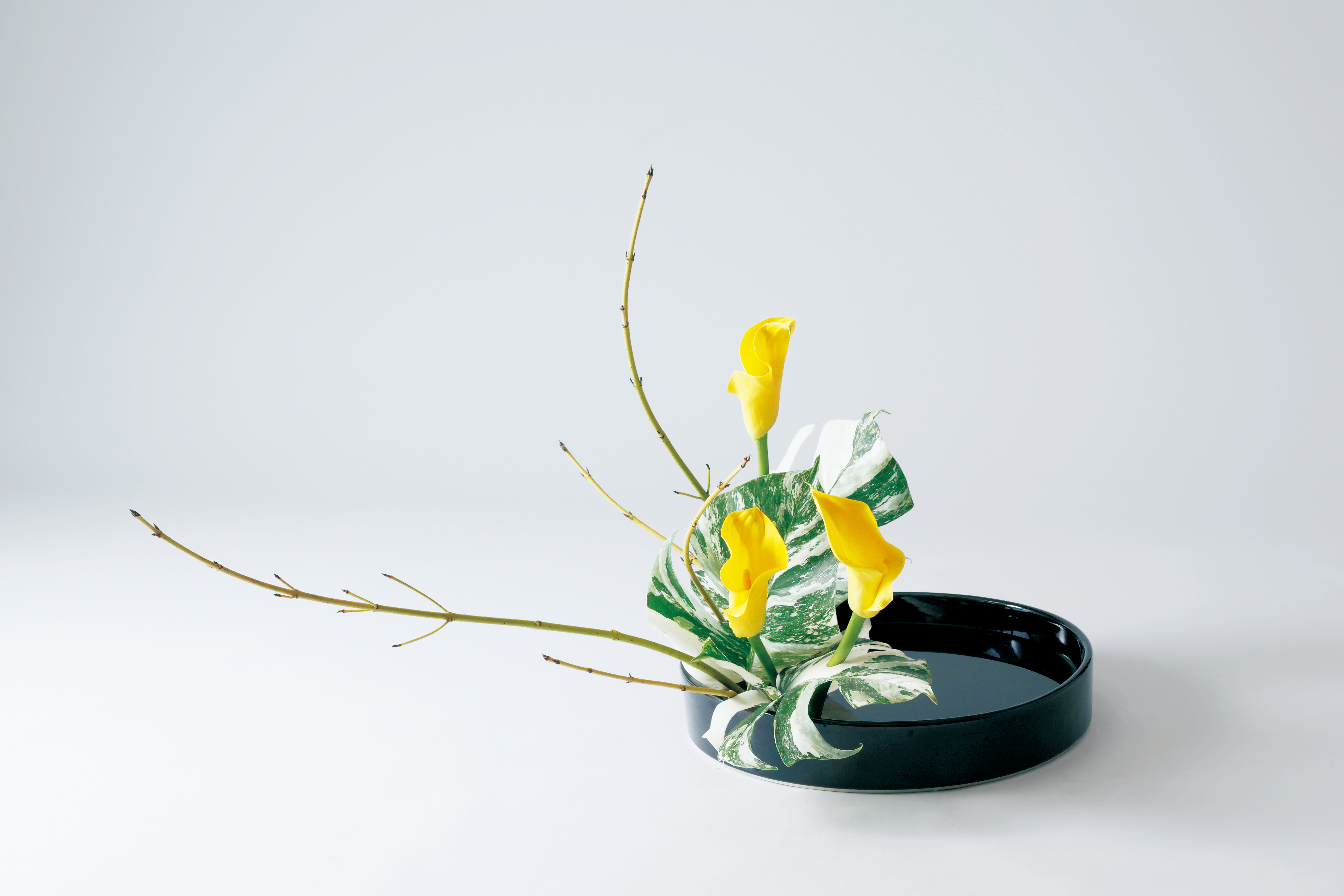 花もあ / 丸水盤（尺一）