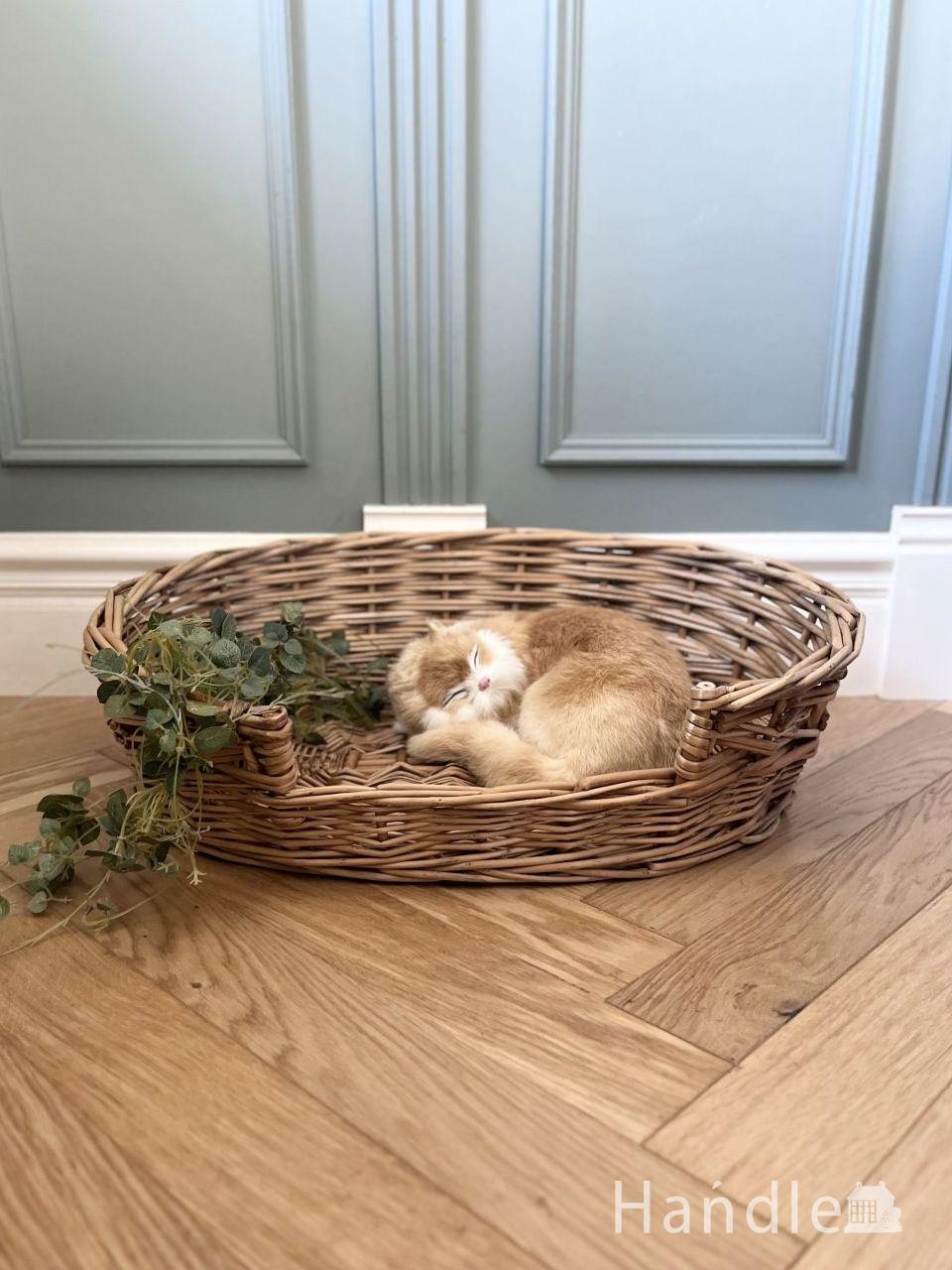 イギリスから届いた大きなサイズのバスケット、アンティークのドッグ