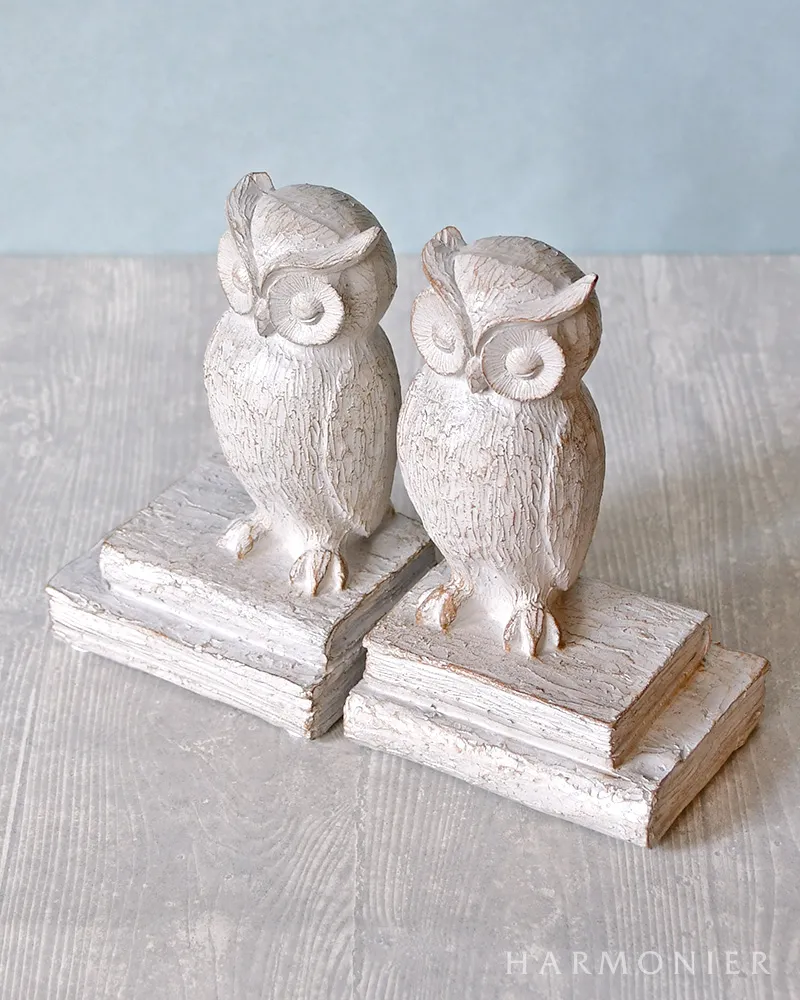 キンメフクロウの置物 木製スタンド付き 約40cm キンメフクロウの置物