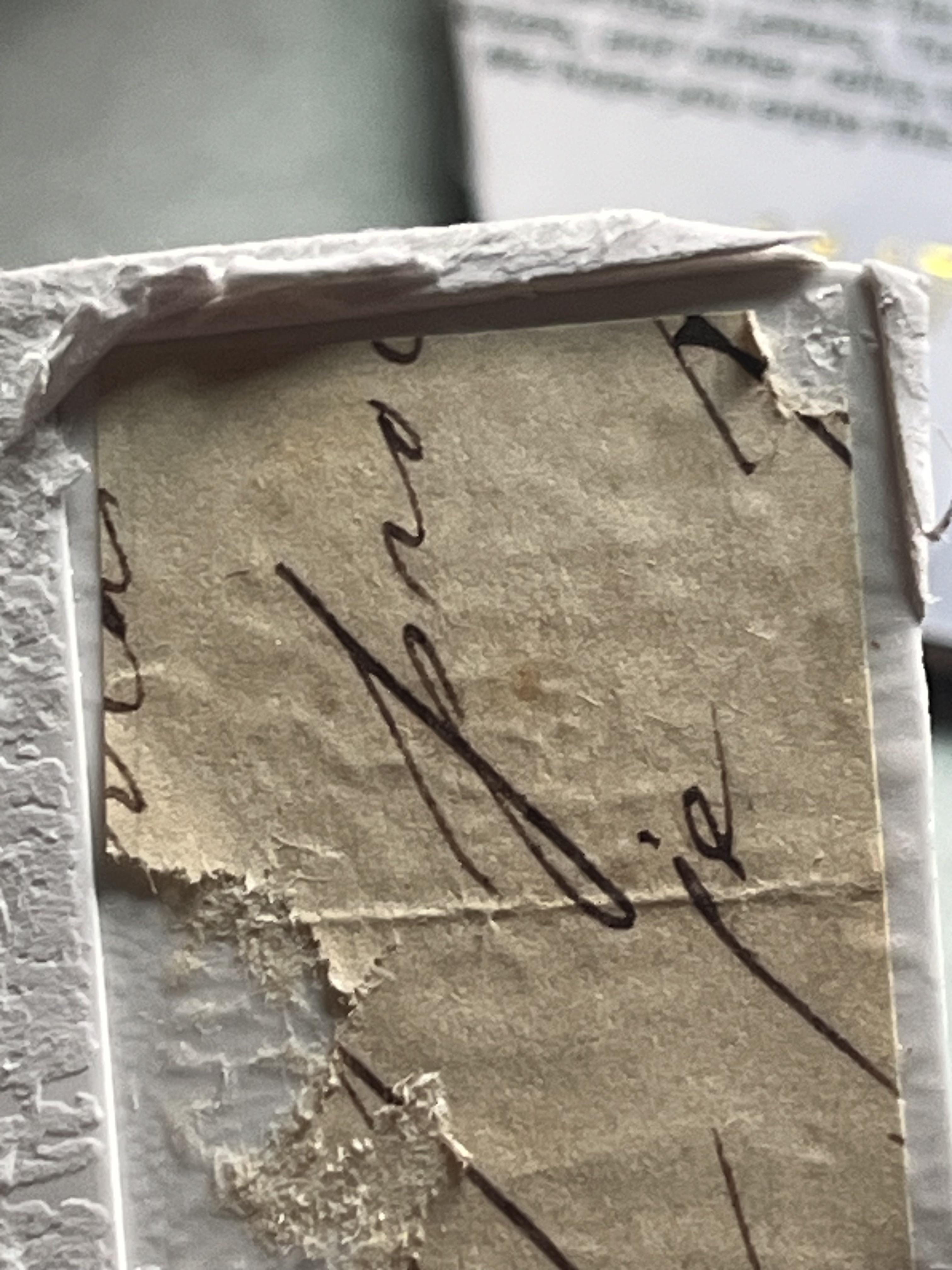 Eternal Cuts : r/Autographs