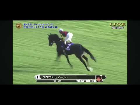 2025年第45回ジャパンカップG1 本馬場入場 - YouTube