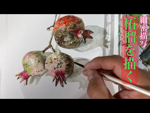 209/細密描写！柘榴（ざくろ）を描く！ - YouTube