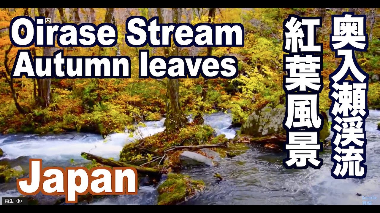 奥入瀬渓流の紅葉 Autumn leaves in Oirase Stream 奥入瀬紅葉 日本