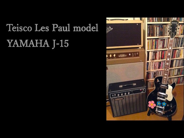 EKO Model395 violin electric guitar 1960's バイオリンスタイル