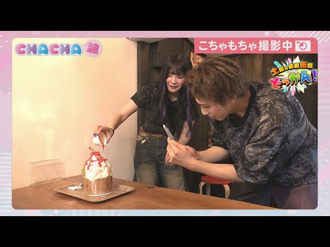 Saturday Canned Information Dokkan!