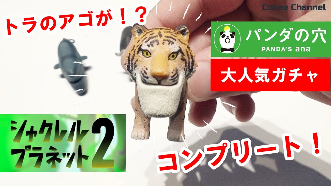 大人気ガチャガチャ「シャクレルプラネット2」コンプリート開封