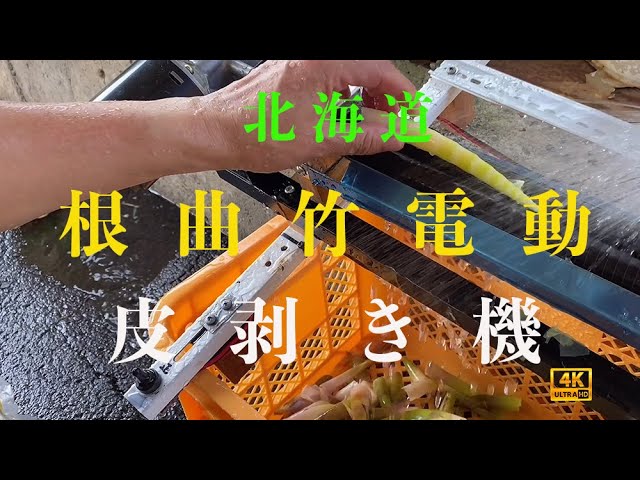 根曲り竹(姫竹) 皮剥き機(詳細説明)ご覧ください - YouTube