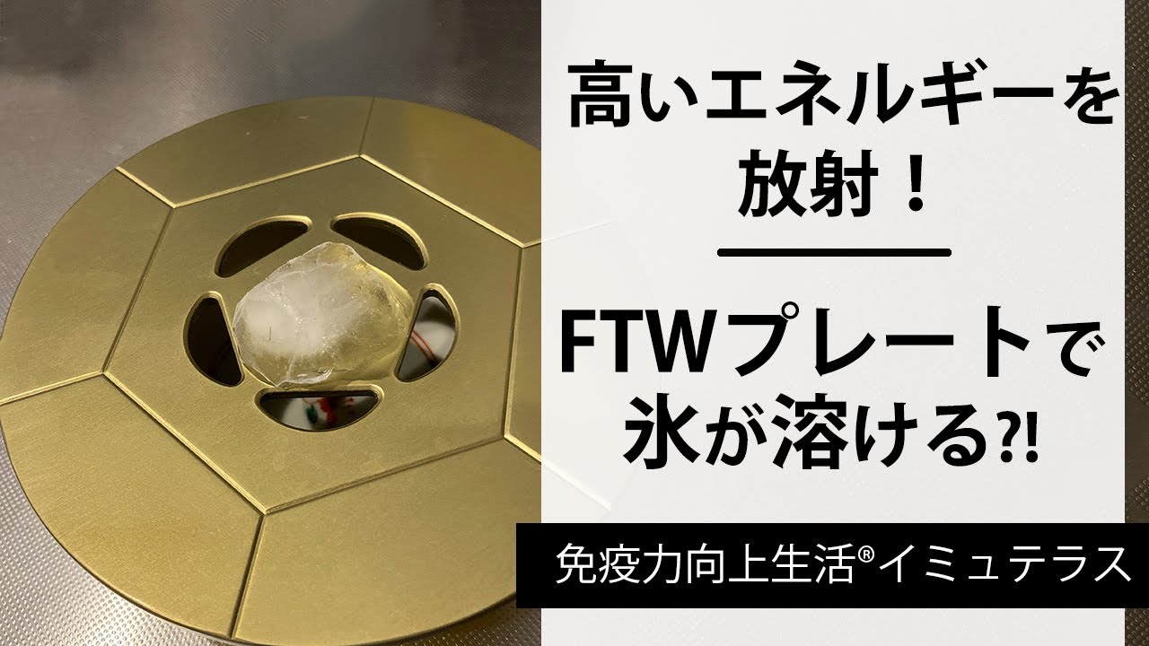 FTWフォーグセット/ 正規代理店 両手振り運動・スワイショウに