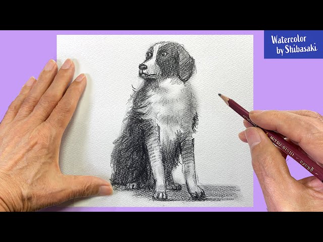 Eng sub] How to draw a Dog with a pencil | Step by Step #WithMe