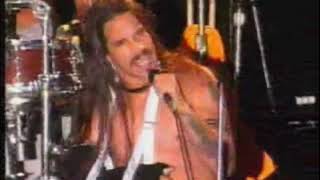 Red Hot Chili Peppers live at Fuji Japan 7/26/97 - Last show with