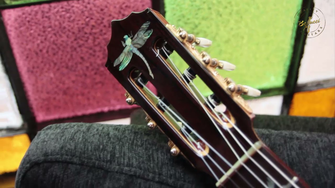 Mangore | Bellucci Guitars - Macassar Ebony B&S, Dragonfly Guitar