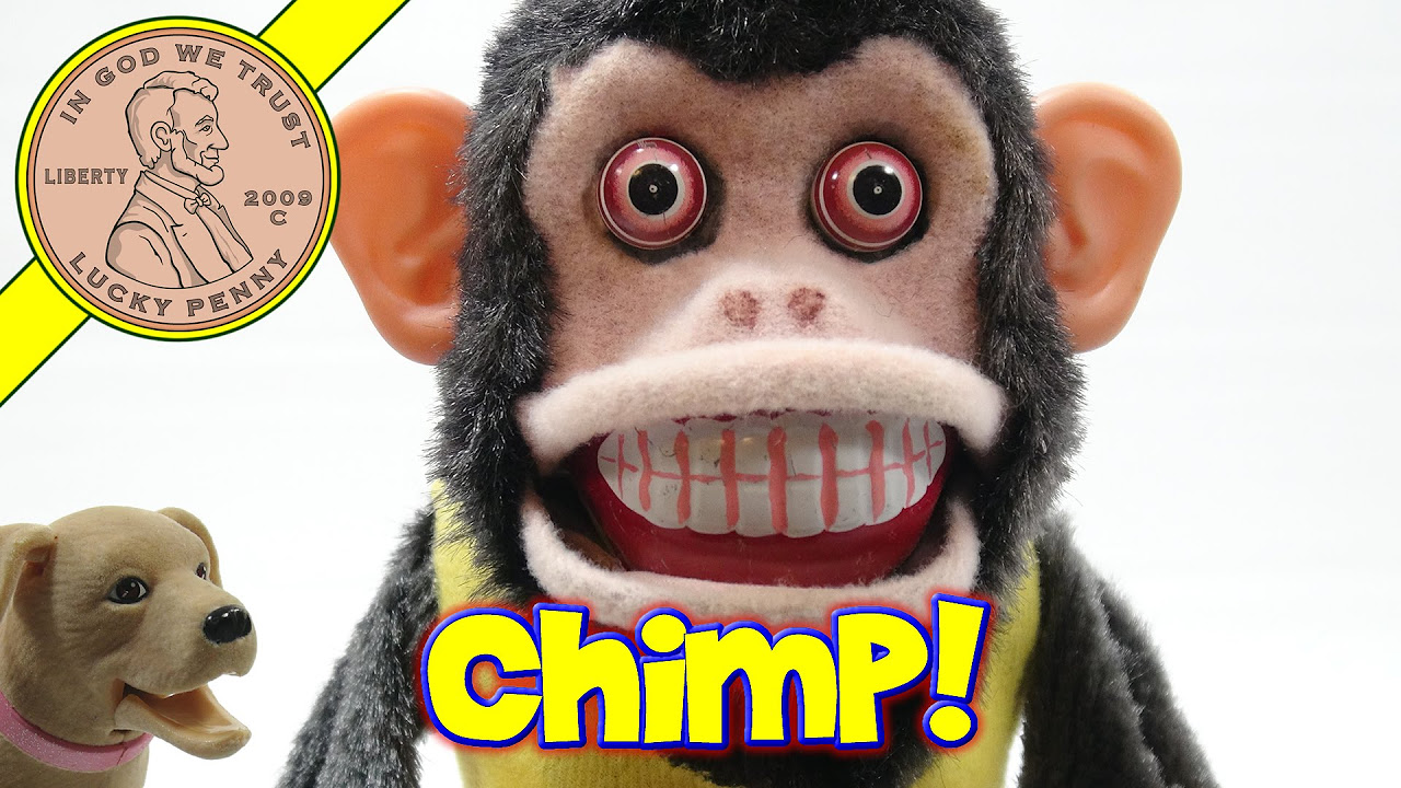 Musical Jolly Crazy Monkey, Cymbal Smashed By A Chimp! - YouTube