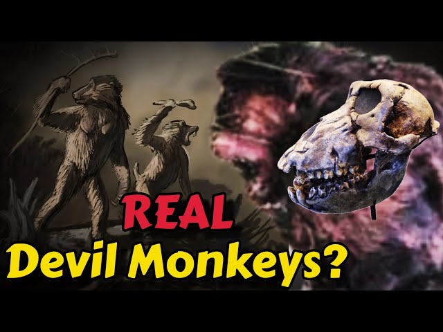The DEVIL MONKEY: Is This The True Story? - YouTube