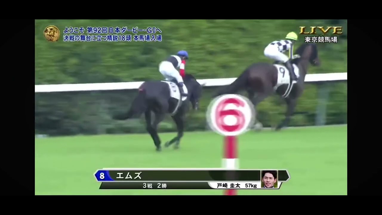 2025年第45回ジャパンカップG1 本馬場入場 - YouTube