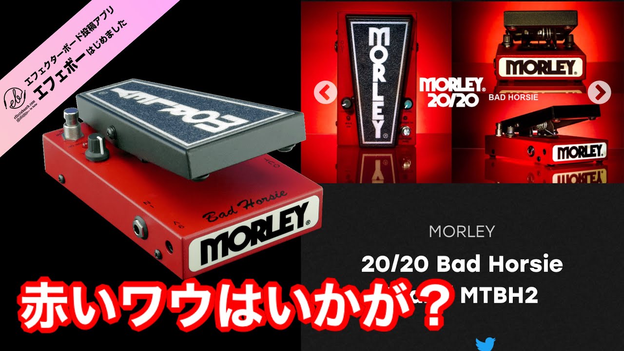 第1990回 カラフルなワウはいかが？MORLEYの20/20シリーズに注目を①