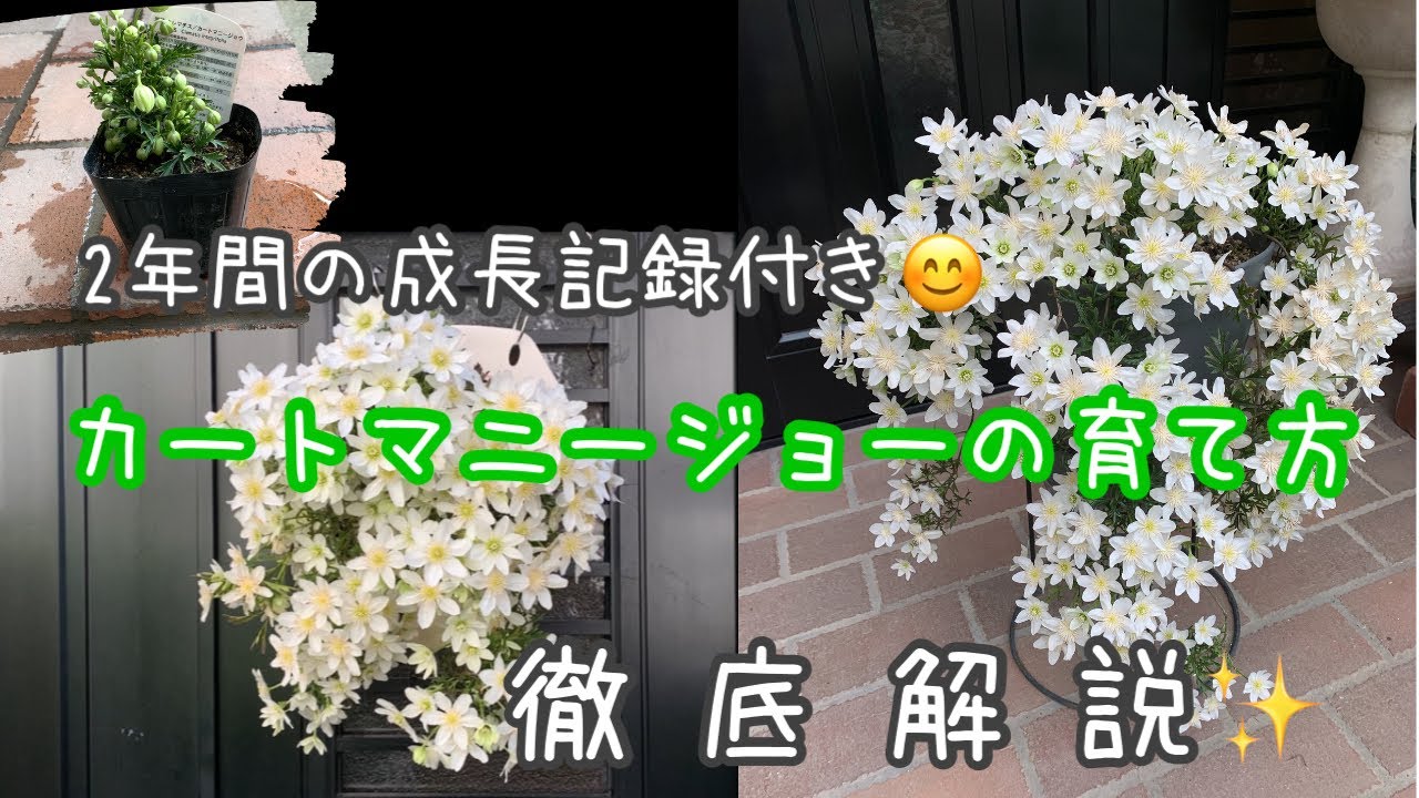 We've packed a bunch of ways to keep your Cartmany Joe from drying