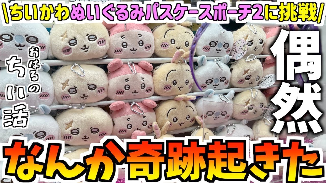 Chiikawa] Trying out the latest prize plush pass case pouch #2