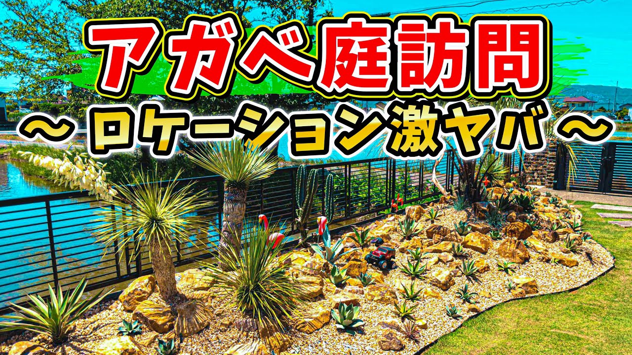 個人宅植レポ】 ロケーションがエグいドライガーデン&アメリカン