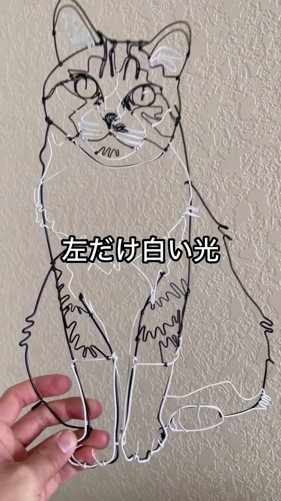 サプライズ⁉️】こっそり愛猫再現！写真からネコワイヤーアート/cat