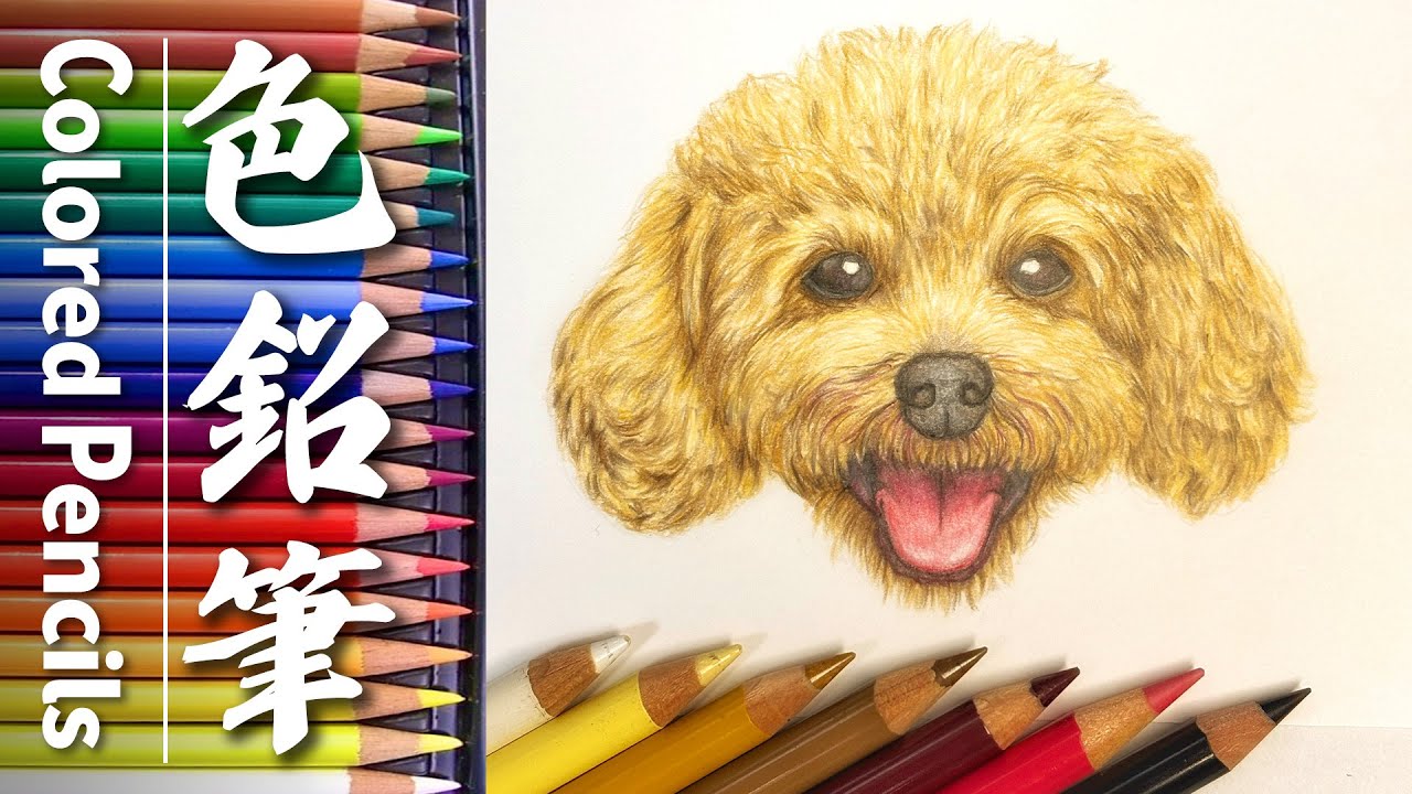 トールペイント]トイプードルを描いてみた♪ - YouTube