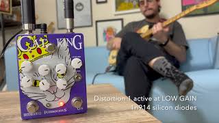 スタンダードから超個性まで、定番ディストーションを進化させた