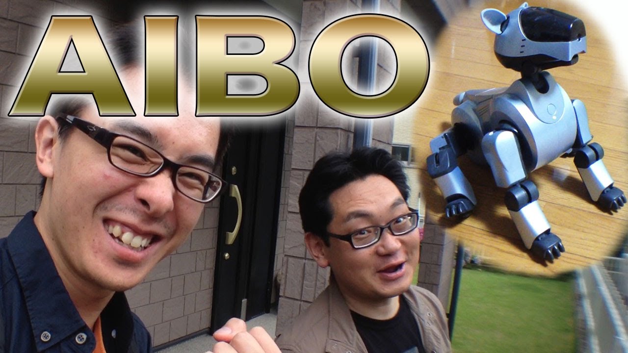 Mr. Takeuchi had that 