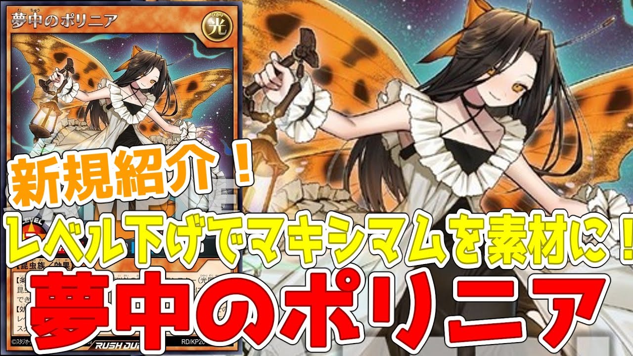 ラッシュデュエル】新規紹介！夢中のポリニア！レベル10マキシマムも