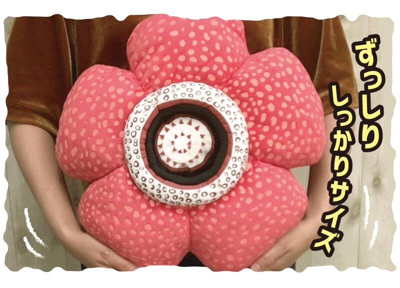 楽天市場】ラフレシア クッション ( 37cm ) 植物 大きい リアル