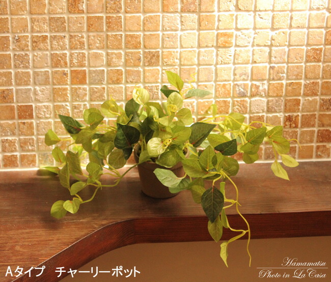 楽天市場】光触媒フェイク グリーン 光の楽園ミニグリーンポット