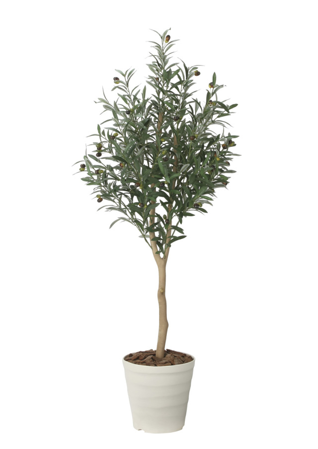 光触媒 光の楽園 アーバンアレカパーム1.7m(ポリ製)【インテリア