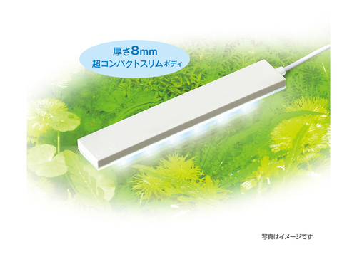 クリアLEDフラッティホワイト | 水中生物用品・水槽用品 通販