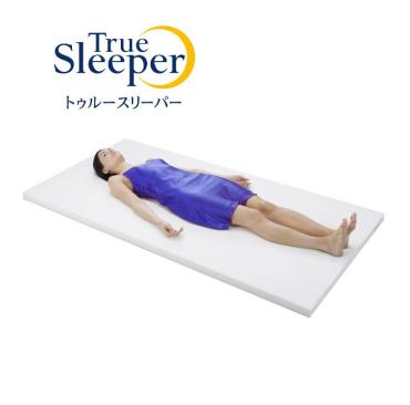 トゥルースリーパー プレミアケア スタンダードタイプ5.0 02R | イオン