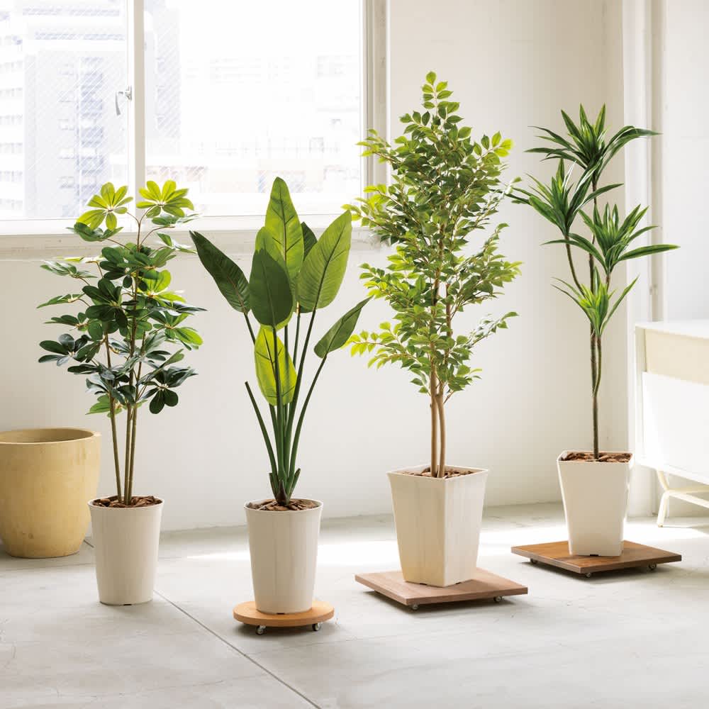 無垢材のキャスター付き プランターベース ホワイトオーク 径29cm 通販