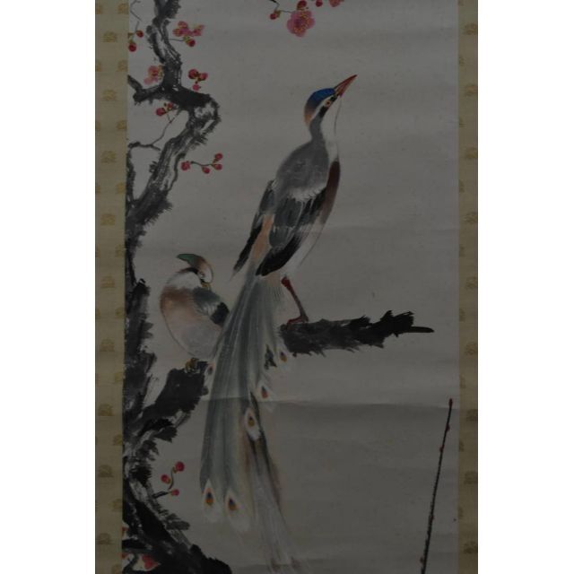 真作】植中直斎/梅花寿帯鳥図/掛軸☆宝船☆Z-916