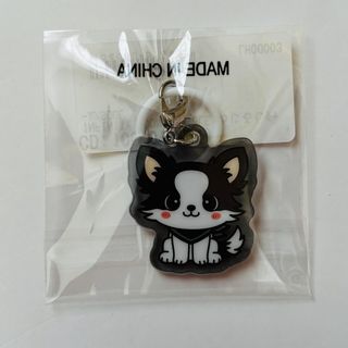 三代目 J Soul Brothers - 三代目JSB 登坂広臣 OMI フォトカード