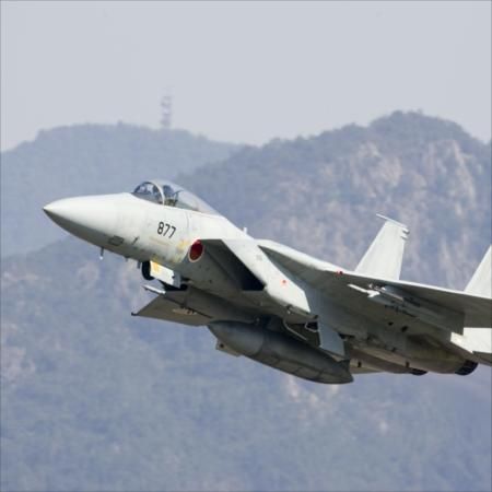 航空自衛隊 F-15戦闘機パッチ