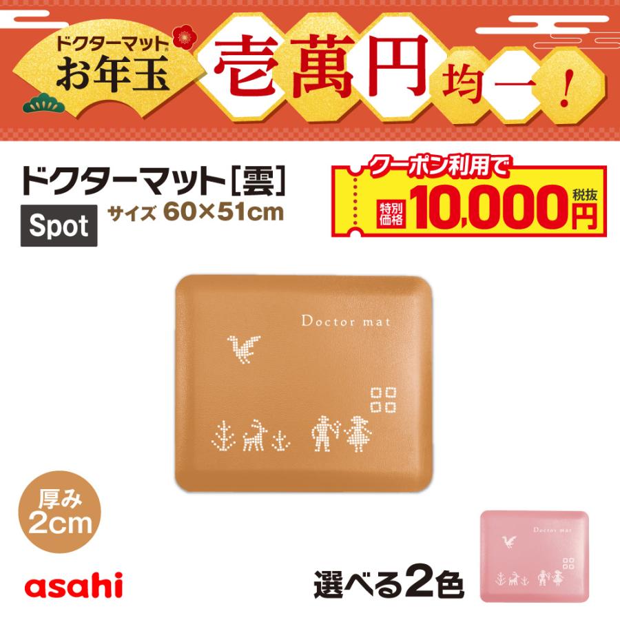 アサヒ軽金属 ドクターマット雲 Spotサイズ マット キッチンマット