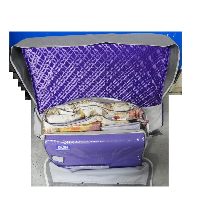 未使用 ロイヤルジャパン ロイヤルドリームファースト 電位・温熱