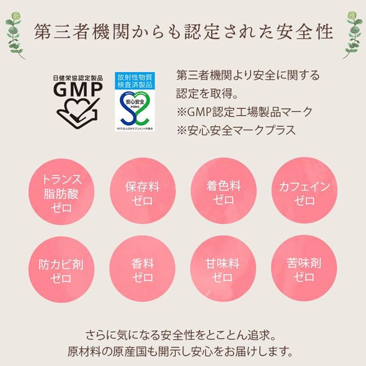 葉酸サプリ】プレミン3セットお届け 妊活~妊娠初期 割引定期あり医師