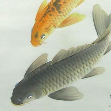 掛け軸 遊鯉 （北村晴方） （掛軸小物なし） 【掛軸】 : 掛け軸・絵画